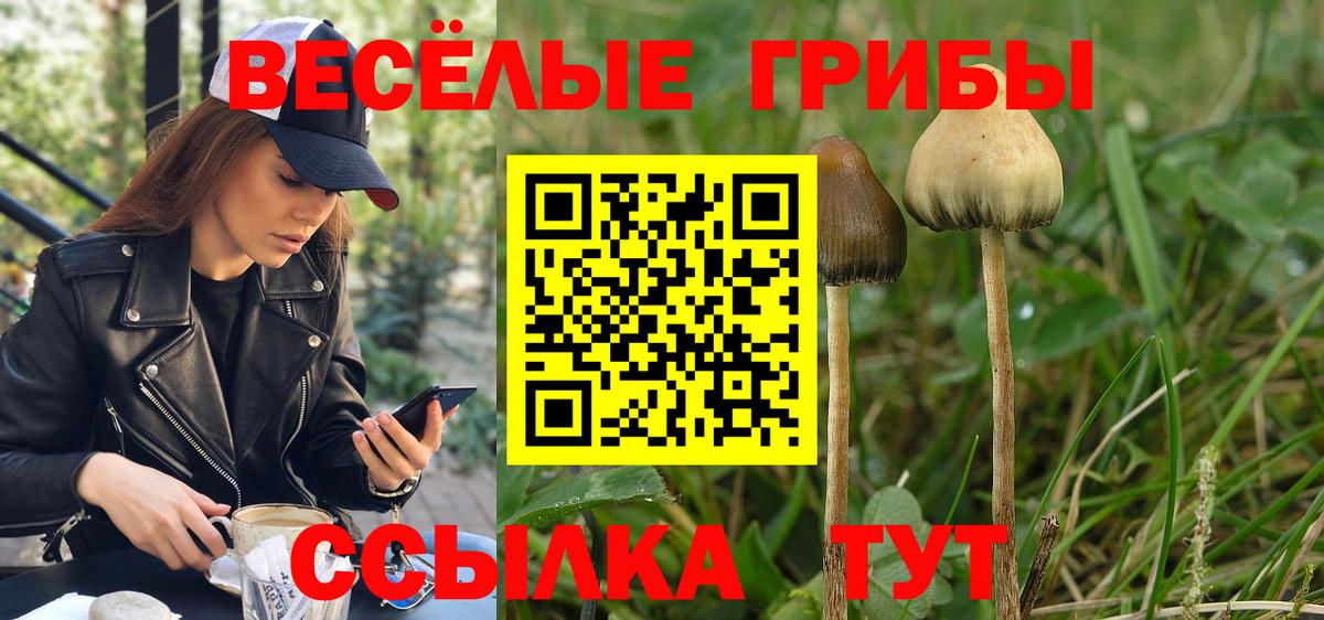 Псилоцибиновые грибы прущие грибы  Вход с VPN  Тихорецк  продажа наркотиков  Галлюциногенные грибы мицелий 