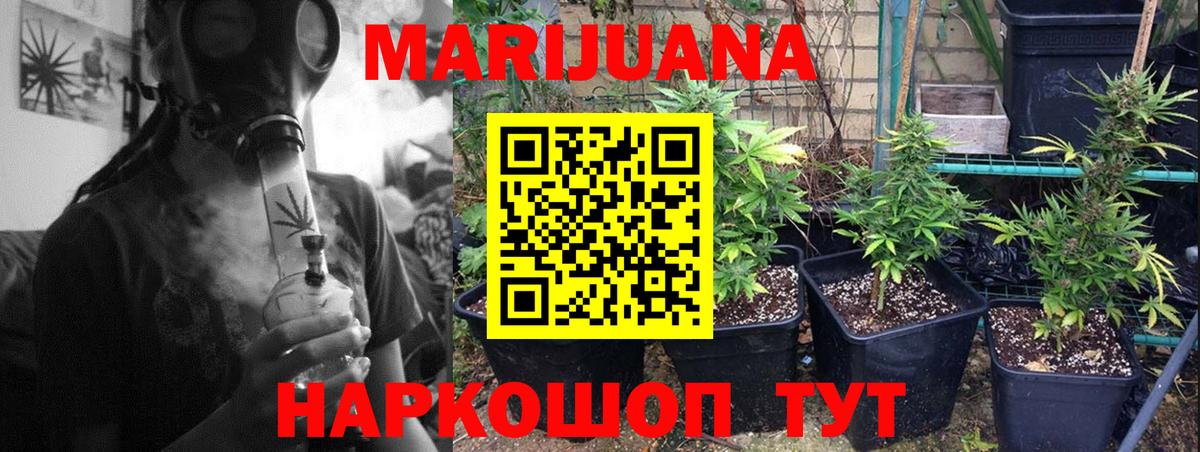Бошки марихуана марихуана  Вход с VPN  Тихорецк  МАРИХУАНА тримм  Бошки марихуана планчик 